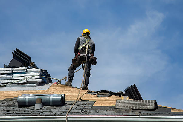 Professional Roofing technician working in Island, KY